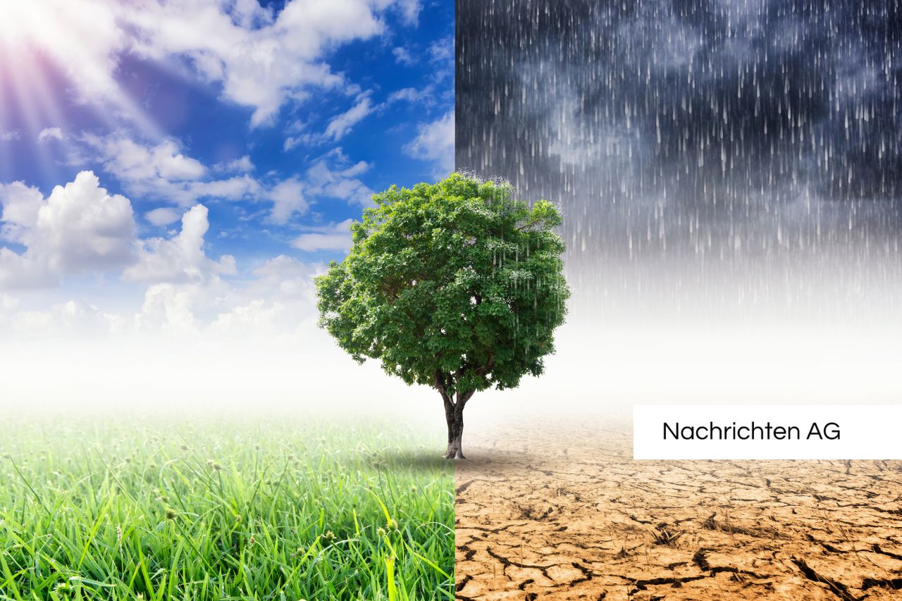 Kalkmagerrasen in Gefahr: Wie Trespe die Biodiversität bedroht!